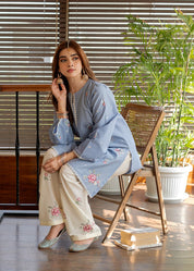 2 Piece - Embroidered Lawn Suit