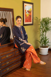 2 Piece - Embroidered Lawn Suit